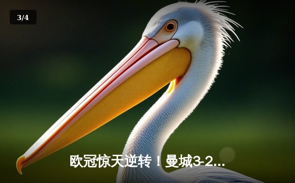 欧冠惊天逆转！曼城3-2绝杀拜仁，哈兰德双响创纪录 - 3